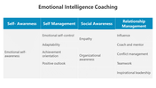 500481-emotional-intelligence-coaching-05