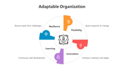 500486-adaptable-organization-07