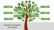 Illustrated family tree diagram with labeled branches, showing various relationships in a hierarchical structure.