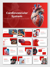 Elegant Cardiovascular System PPT And Google Slides Themes