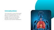 500802-respiratory-system-02