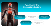 500802-respiratory-system-04