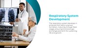 500802-respiratory-system-11