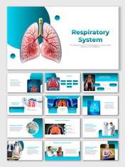 Concerning Respiratory System Presentation And Google Slides