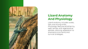 500827-world-lizard-day-04