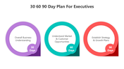 500980-30-60-90-day-plan-for-executives-06