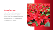 500983-national-poinsettia-day-02