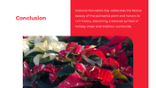 500983-national-poinsettia-day-07