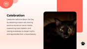 501009-national-black-cat-day-09