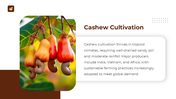 501079-national-cashew-day-06