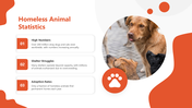 501163-international-homeless-animals-day-presentation-03