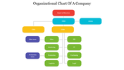 Best Organizational Chart Of A Company Slide Template