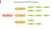 Our Impressive Organizational Chart Of A Company PPT