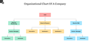 Editable Organizational Chart Of A Company PowerPoint Template