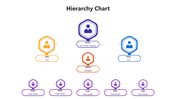 Organizational chart with three tiers of hexagonal icons in blue, orange, and purple representing various positions.