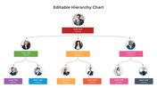 Color coded hierarchy chart with circular profile images, showing an organizational structure across various levels.