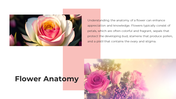 62238-flower-powerpoint-templates-02