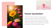 62238-flower-powerpoint-templates-03