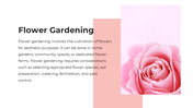 62238-flower-powerpoint-templates-04