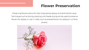 62238-flower-powerpoint-templates-06