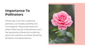 62238-flower-powerpoint-templates-08