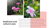 62238-flower-powerpoint-templates-09