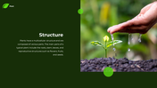 62277-plant-powerpoint-template-02