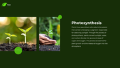 62277-plant-powerpoint-template-03