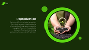 62277-plant-powerpoint-template-04