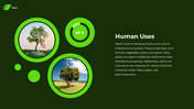 62277-plant-powerpoint-template-07