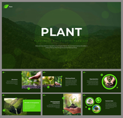 Slide deck focused on plants, featuring images of seedlings, environmental benefits, and human uses in a green color scheme.