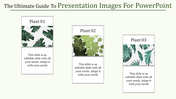 Three vertical panels with different plant illustrations, each labeled with numbers and text below.