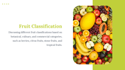 64112-fruits-ppt-presentation-03