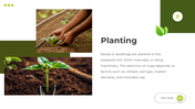 64114-ppt-template-for-agriculture-03