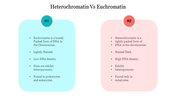 Comparison slide between heterochromatin in blue box and euchromatin in orange box highlighting differences in DNA.