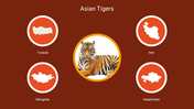 Best Stunning Asian Tigers PowerPoint Diagrams For You