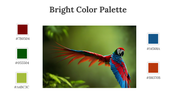 64339-bright-color-palette-02