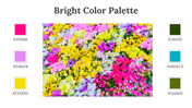 64339-bright-color-palette-03