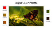 64339-bright-color-palette-04