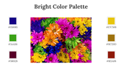 64339-bright-color-palette-06