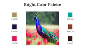 64339-bright-color-palette-07