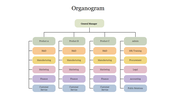 Organogram PowerPoint Presentation Template & Google Slides