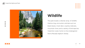 64414-yosemite-national-park-07