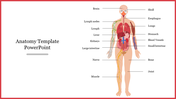 Illustration of human anatomy with labeled organs and systems, and text on the left in a red border.