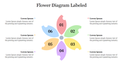 Attractive Flower Diagram Labeled Presentation Template