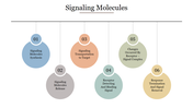 Creative Signaling Molecules PowerPoint Template Slide