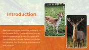 65687-deer-powerpoint-templates-02