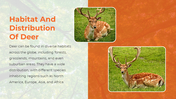 65687-deer-powerpoint-templates-03