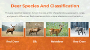 65687-deer-powerpoint-templates-04