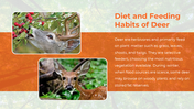 65687-deer-powerpoint-templates-05